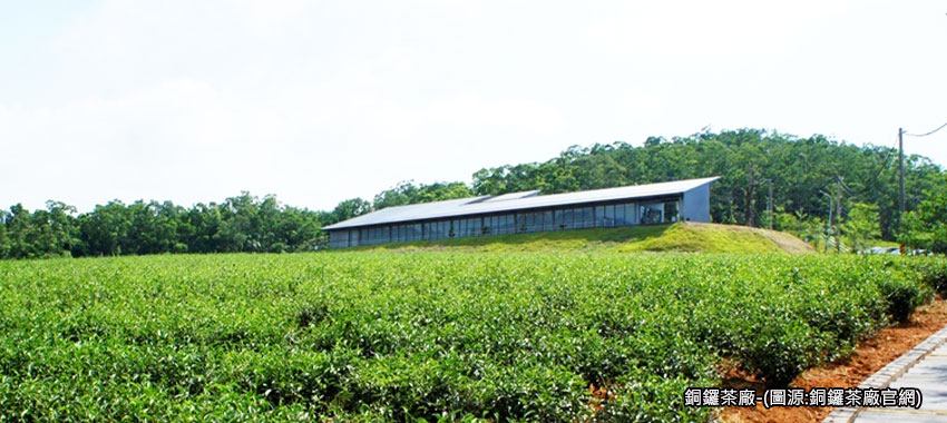 銅鑼茶廠